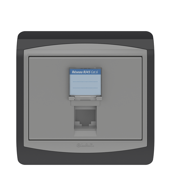 Prise Informatique RJ45 CAT6 LAP Galaxy Gris